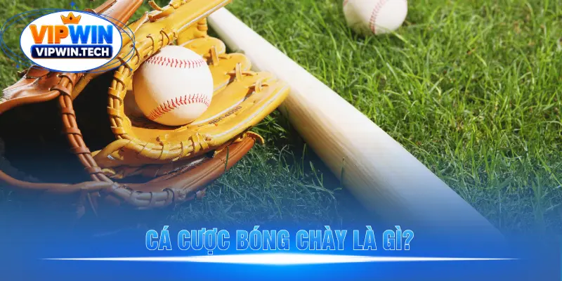 Giới thiệu sơ lược về hình thức cá cược bóng chày