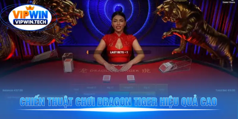 Chiến thuật chơi Dragon Tiger hiệu quả cao