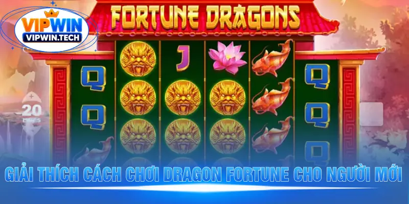 Giải thích cách chơi Dragon Fortune cho người mới