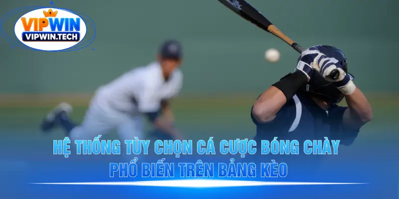 Các loại kèo cá cược bóng chày phổ biến tại VIPWIN